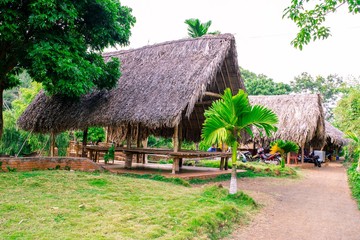 paleolithic thatched huts
