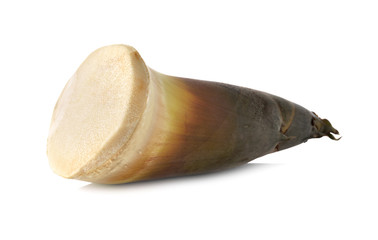 fresh whole bamboo shoots on white background