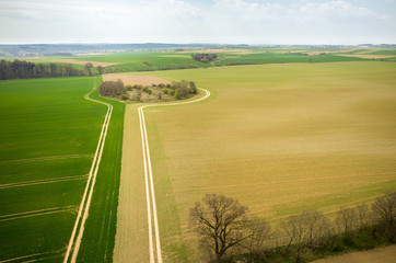 Aerial view of the field