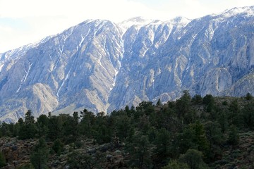 californian mountains