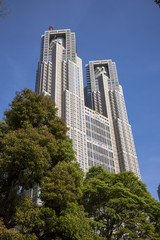 Obraz premium 東京都庁と新緑