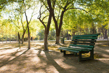 Fototapeta premium Spring Park