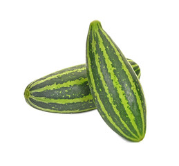 Cucumber isolated green striped white background