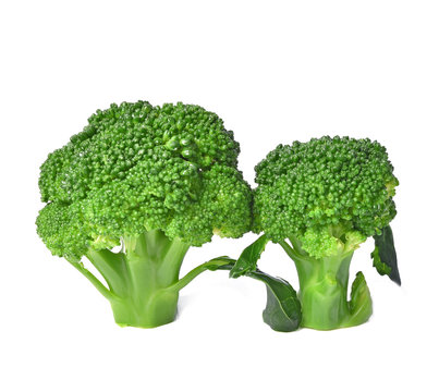 Broccoli cooked isolated on white background.