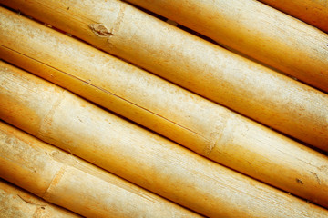 bamboo fence background