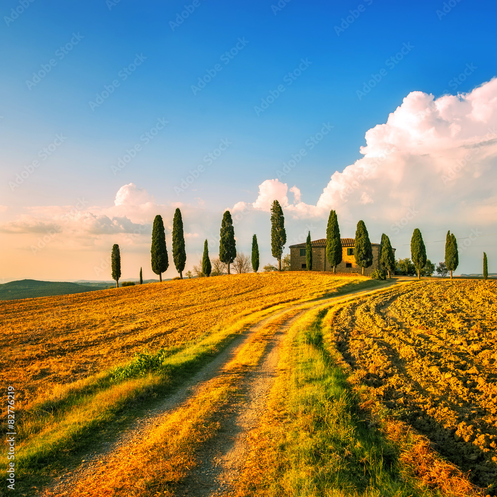 Wall mural tuscany, farmland, cypress trees and white road on sunset. siena