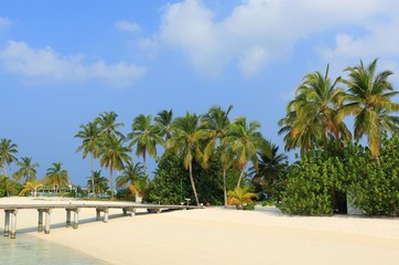 The Maldives Beach Landscape view on Vacation trip