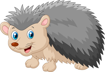Hedgehog was looking to the side © tigatelu