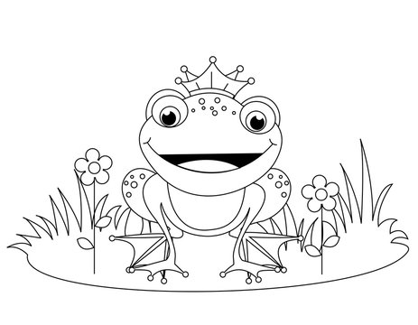 Frog coloring book graphic