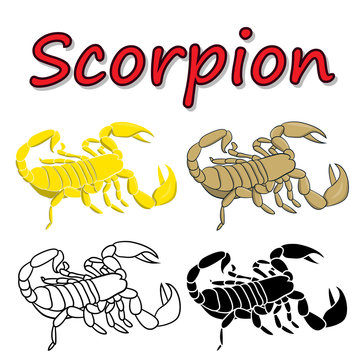 Vector scorpion isolated on white background
