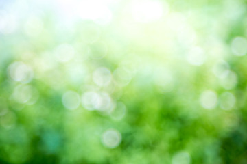 Fototapeta na wymiar Natural green blurred background.