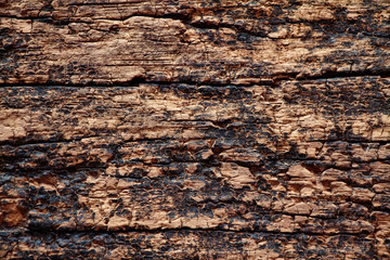 old wood background