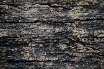 old wood background
