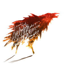 Silhouette Bird Predator