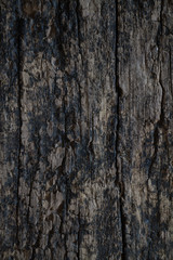 old wood background
