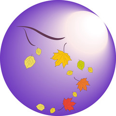 Falling leaves in autumn on a background of moonlight, vector