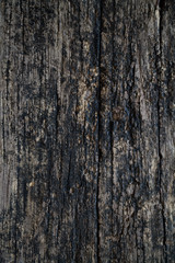 old wood background