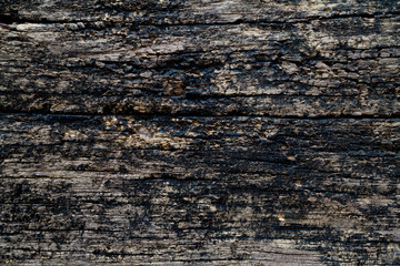 old wood background