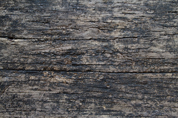old wood background
