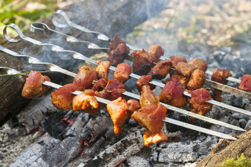 Grilled meat (shashlik) on camp fire