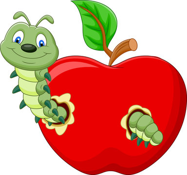Caterpillars eat the apple