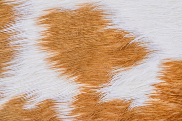 Cow fur (skin) texture.