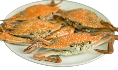 Streamed crab isolated on white background