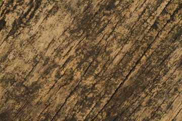 Fototapeta premium old wood background