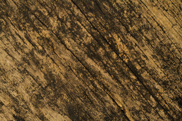 old wood background