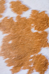 Cow fur (skin) texture.