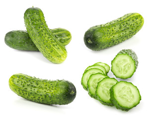 Cucumber