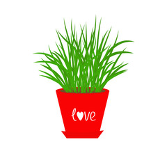 Grass Growing in red flower pot Icon Isolated Love  Flat