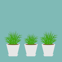 Three pots with growing grass Icon set Blue Flat 