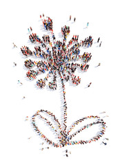 People in the shape of a flower.