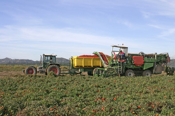 Obraz premium Engins de récolte