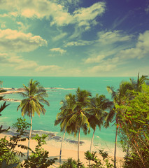 tropical beach landscape - vintage retro style