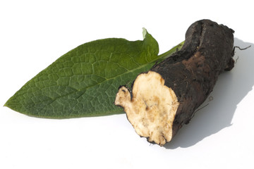 Beinwellwurzel, Symphytum; officinale