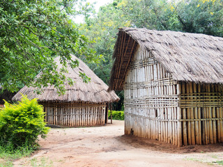 Masai traditional house