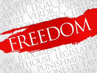 Freedom word cloud concept