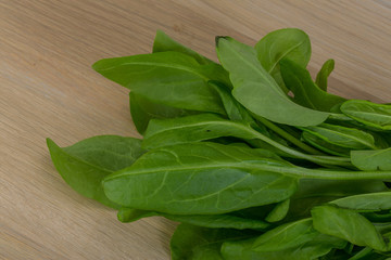 Green sorrel leaves