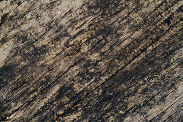 old wood background