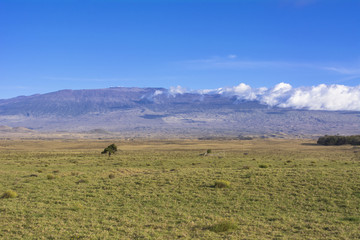 Obraz premium マウナケア山を望む