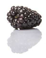 Blackberry fruit over white background