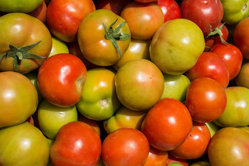 Tomatoes in the market