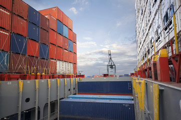 container operation in port of Rotterdam Europort