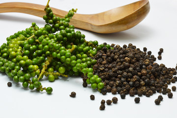 pepper and young pepper