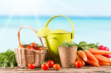 Garden concept, fruits and vegetable