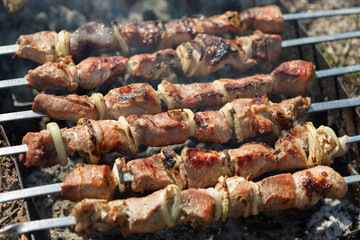 skewers on the grill on the nature