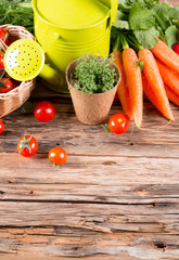 Garden concept, fruits and vegetable