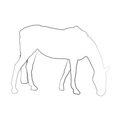 Pferd frißt - Umriß, Silhouette